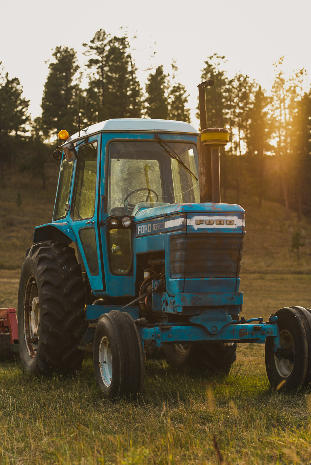 Blue Ford 7700 tractor in a field with sun flaring through pines