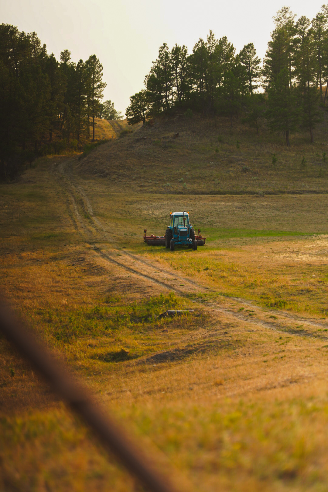 Blue tractor mowing a field at dusk framed by pine hills