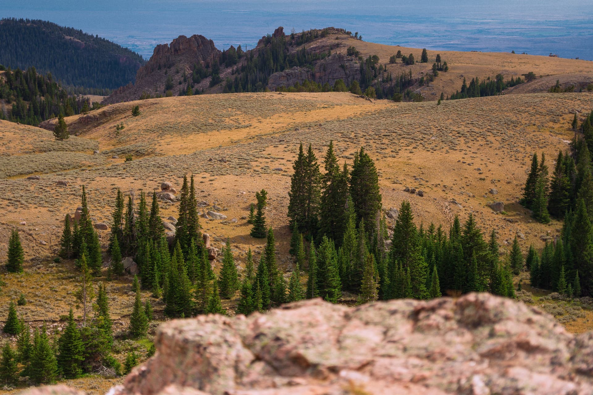 Golden high-country meadow and pines below rocky outcrops above a hazy basin