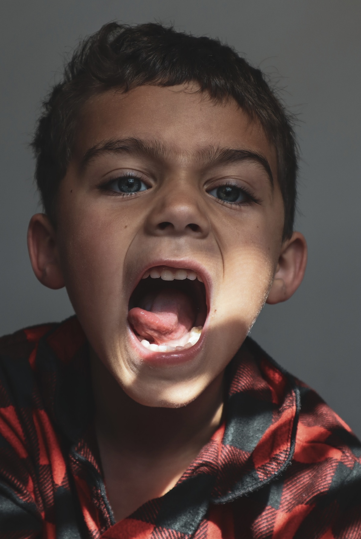 Studio portrait of a boy in a red plaid shirt shouting toward the camera