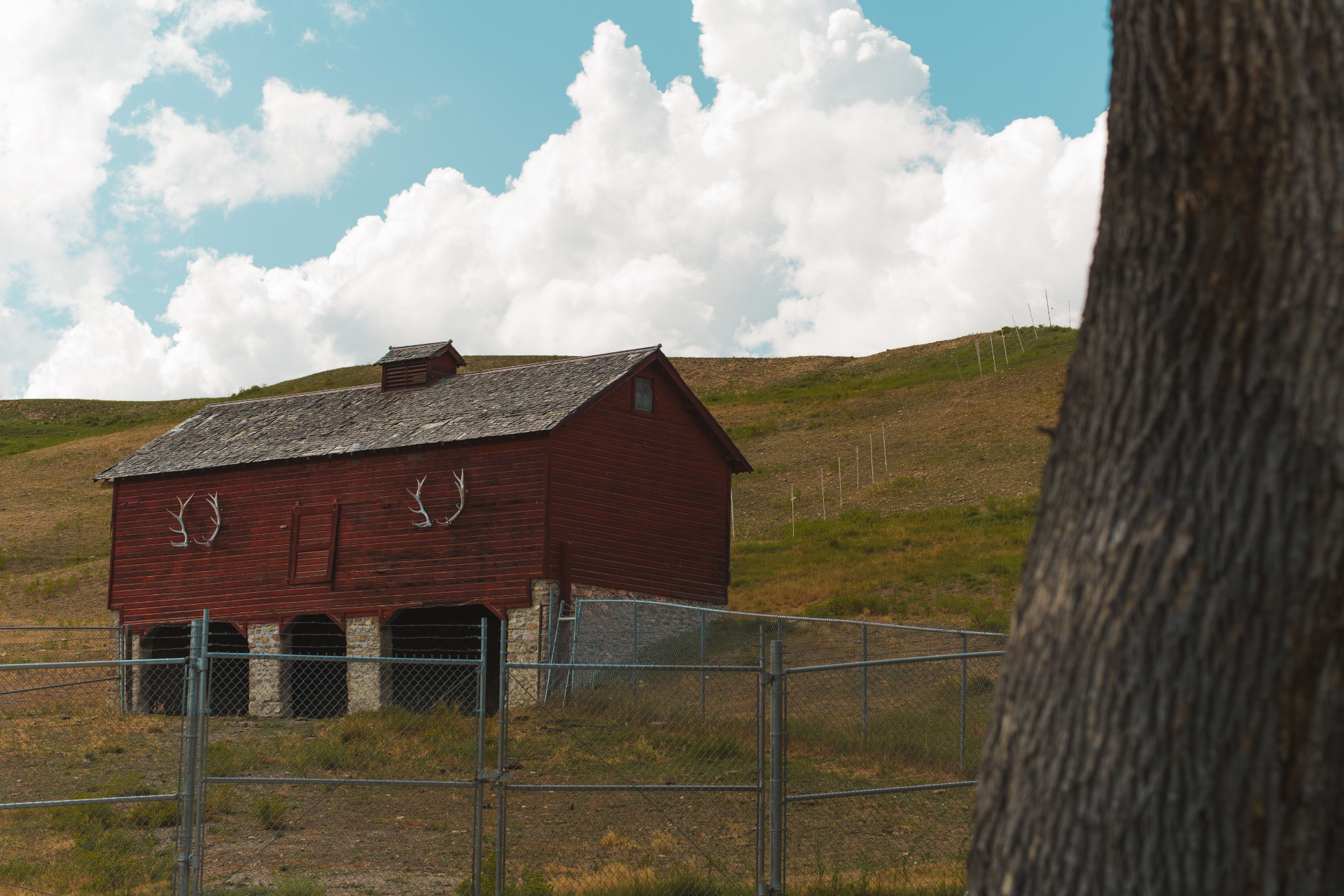 Red plank barn with mounted antlers on a grassy hillside under cumulus clouds