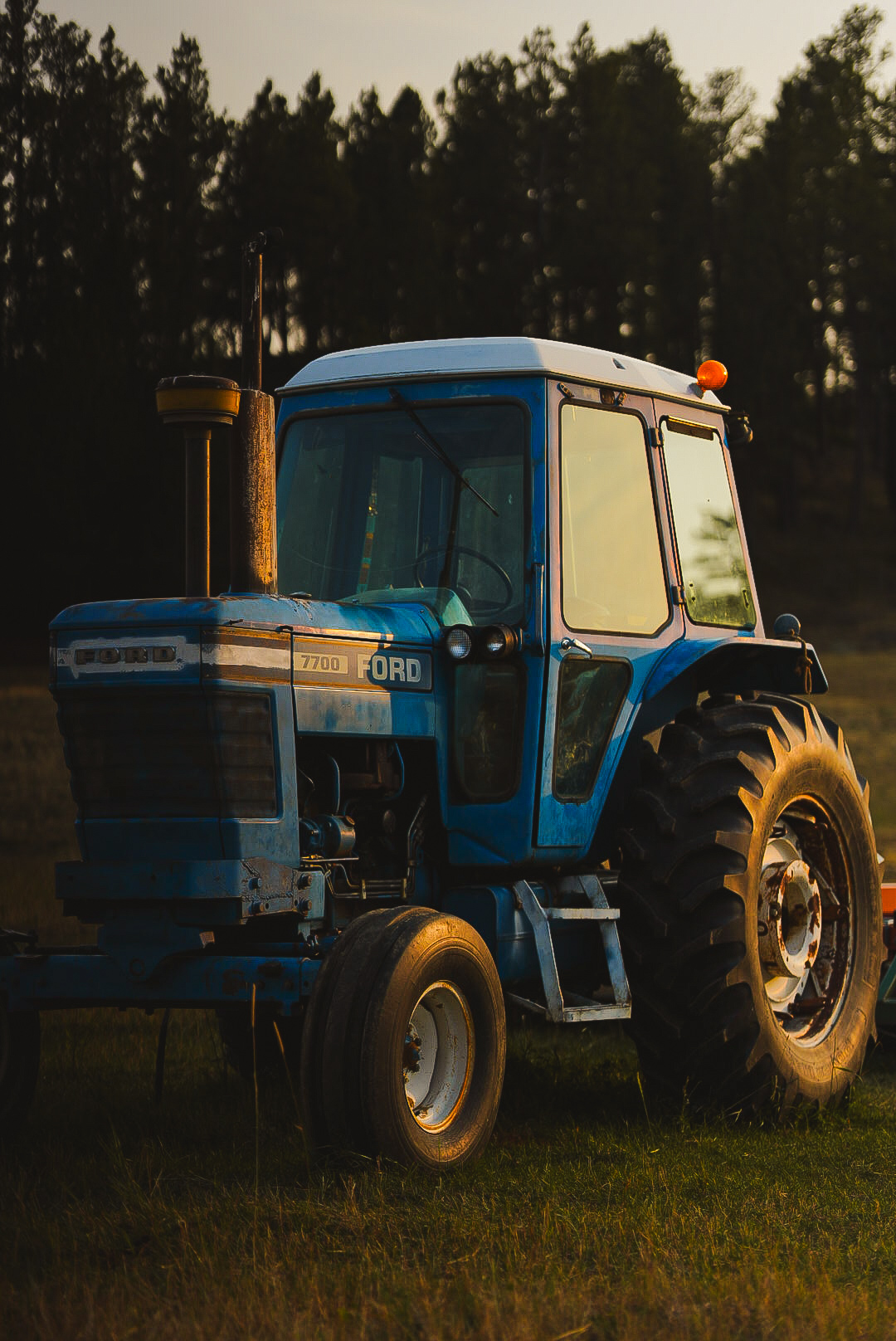 Vintage blue Ford tractor lit by low evening light against dark timber