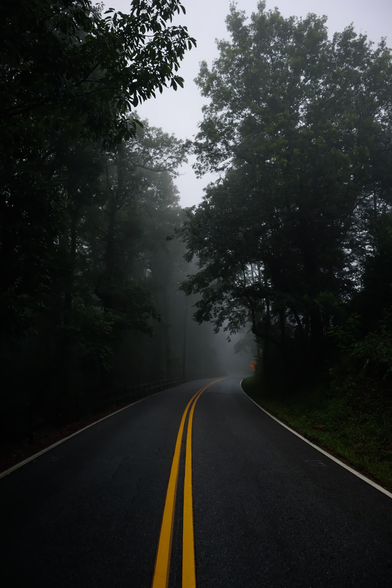 Wet forest road with yellow center lines disappearing into thick fog